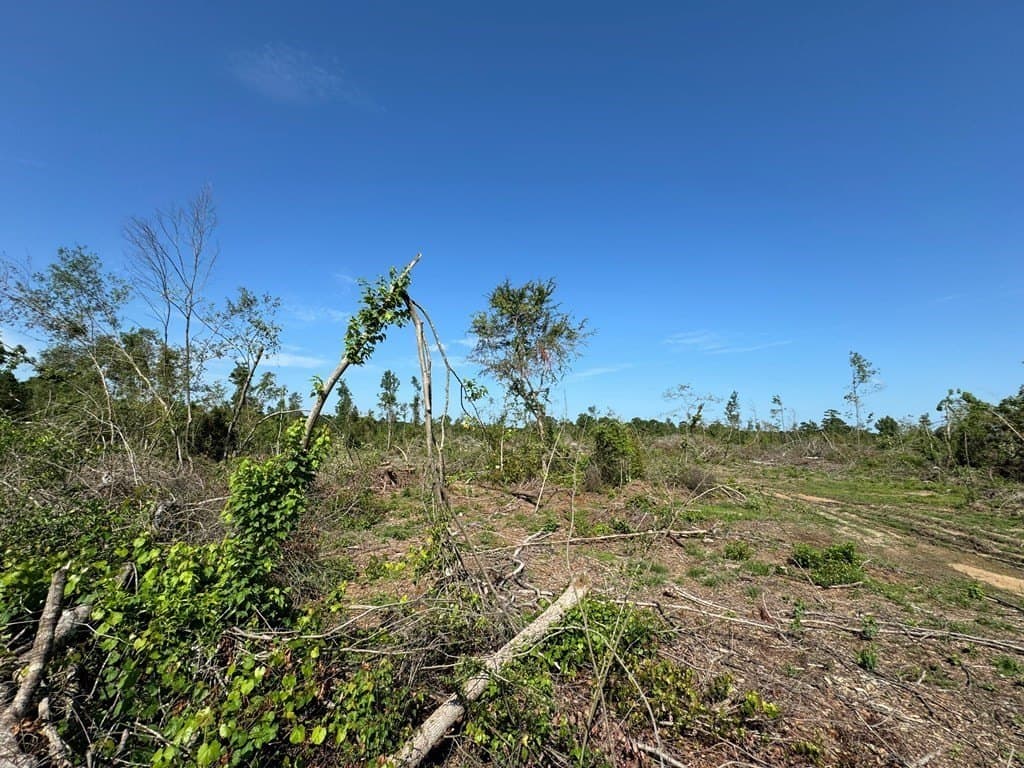 2.37 acres in Texas County gallery image 3