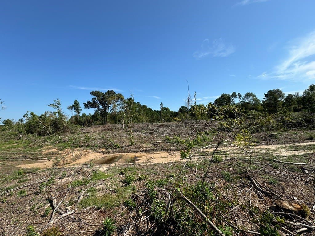 2.37 acres in Texas County gallery image 4