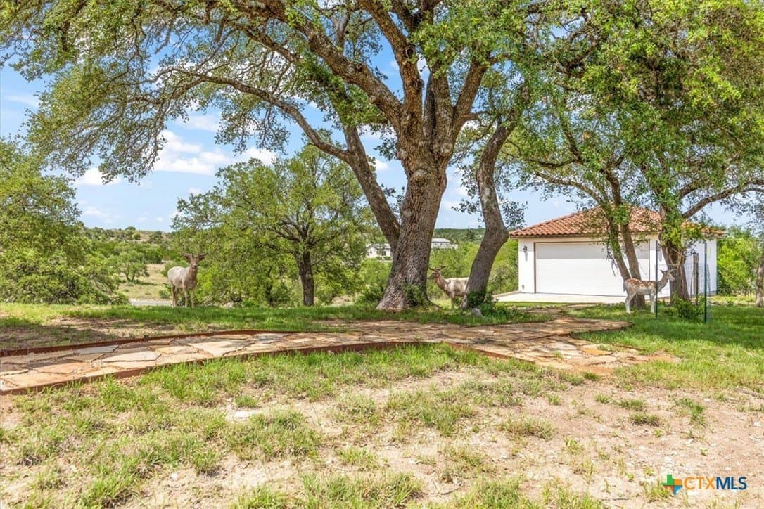 10.19 acres in Comal County - photo 42