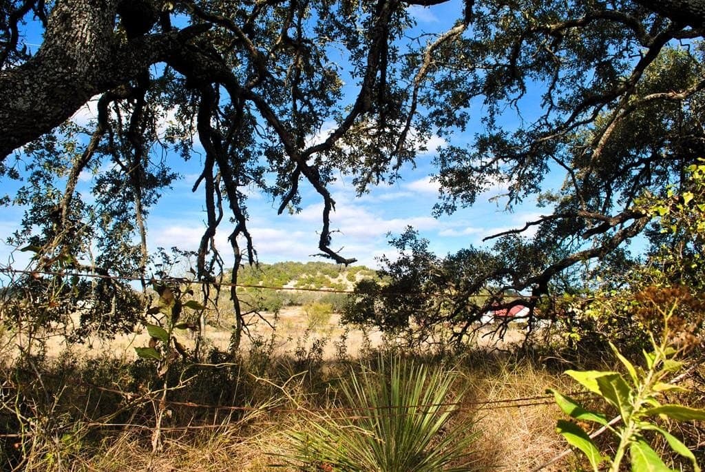 2 acres in Gillespie County