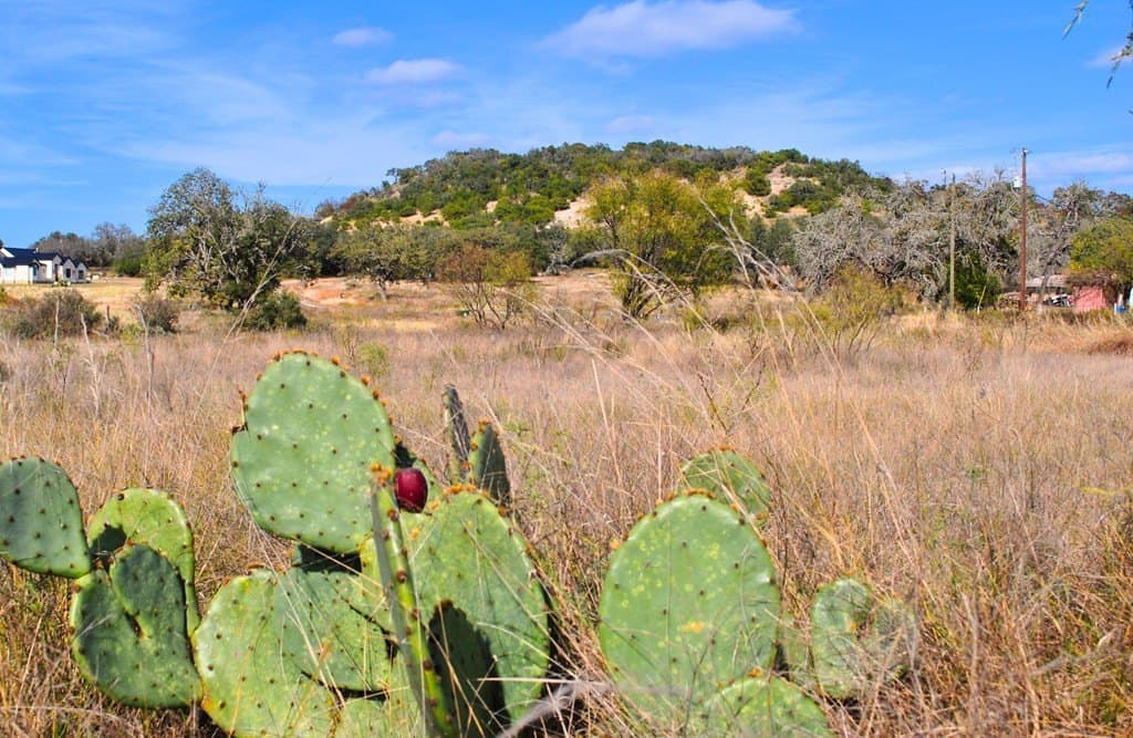 2 acres in Gillespie County gallery image 4