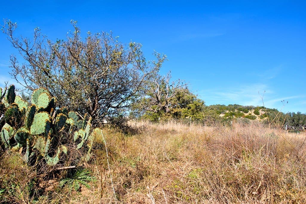 2 acres in Gillespie County gallery image 3