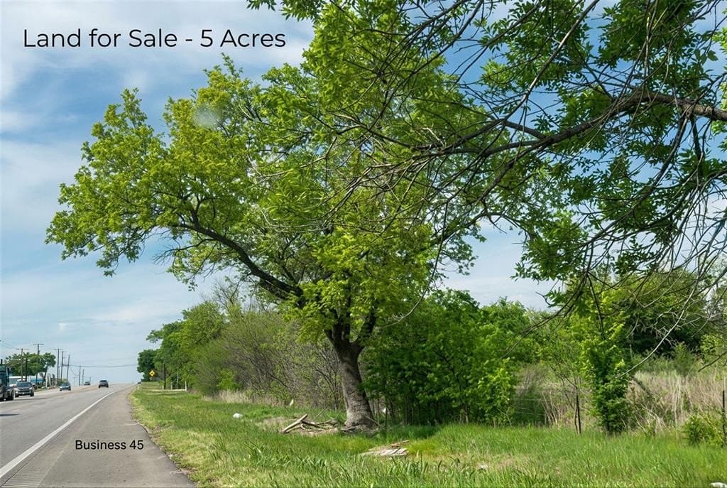 5 acres in Navarro County gallery image 2