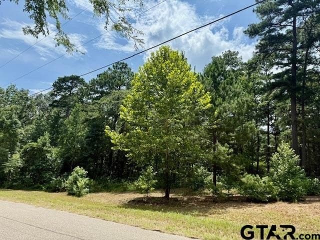 2.95 acres in Smith County - photo 2