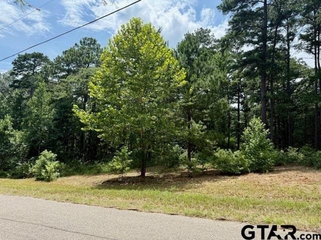 2.95 acres in Smith County - photo 7