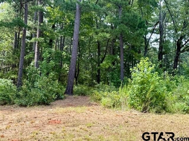 2.95 acres in Smith County - photo 3