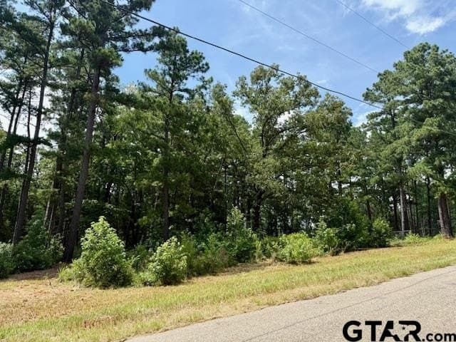 2.95 acres in Smith County - photo 6