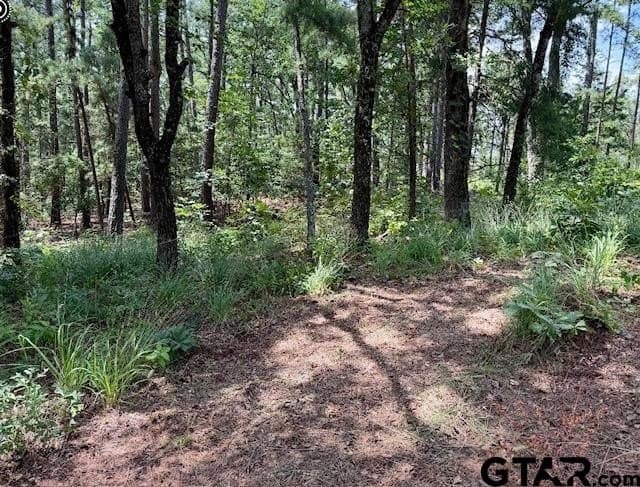 2.95 acres in Smith County - photo 8