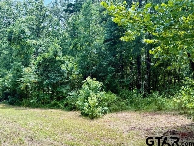 2.95 acres in Smith County - photo 4