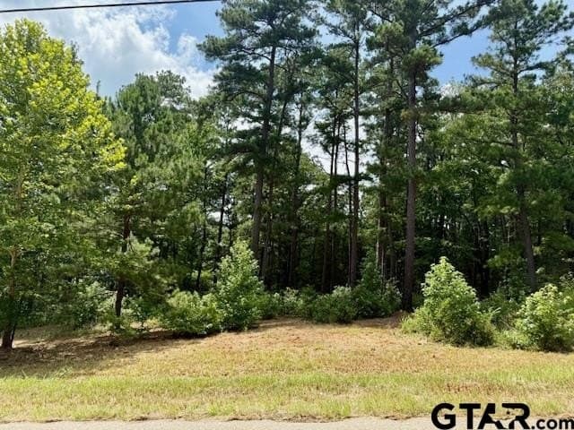 2.95 acres in Smith County