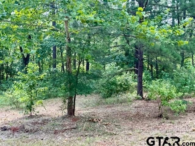 2.95 acres in Smith County - photo 5