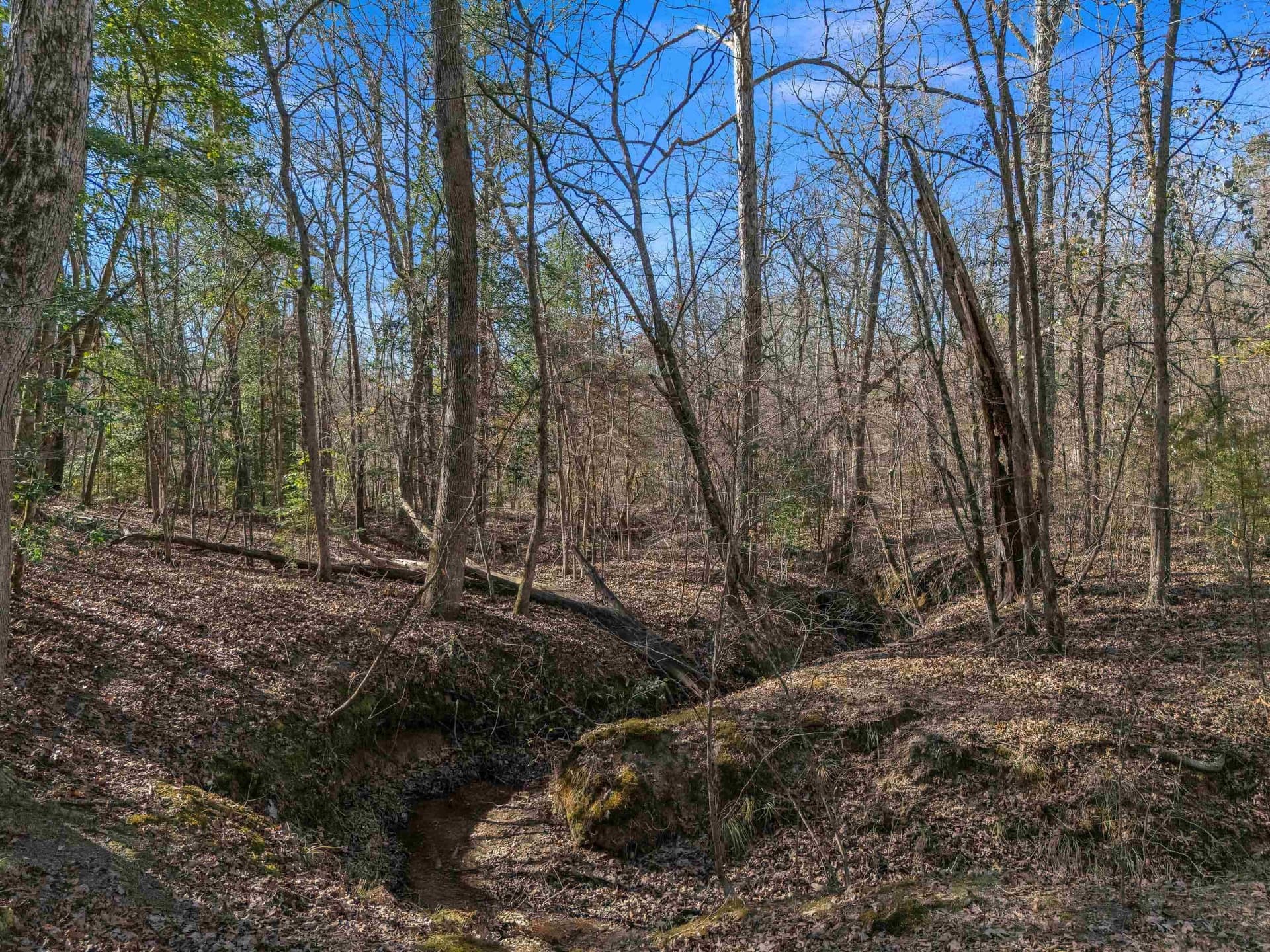40 acres in Smith County - photo 40
