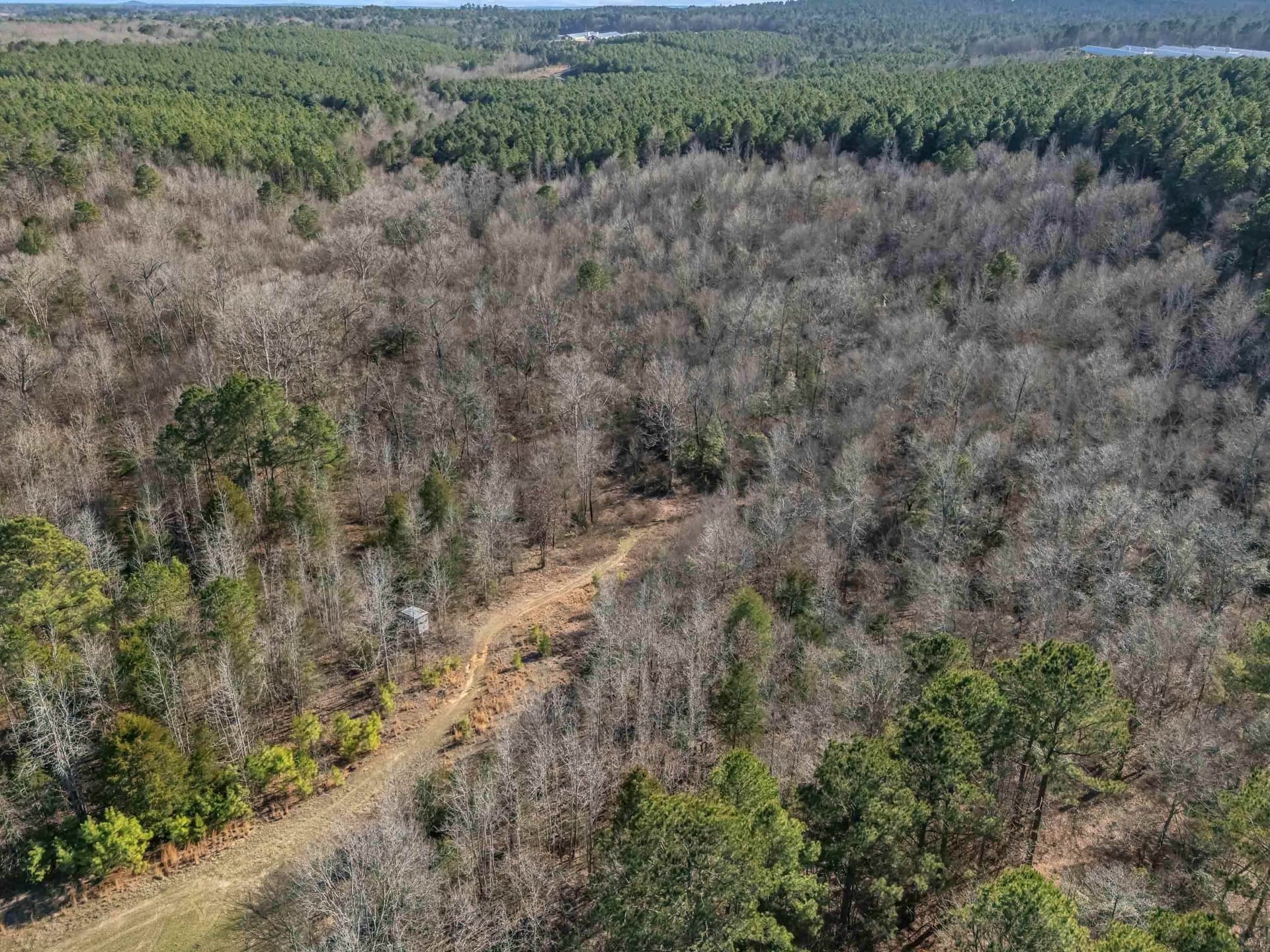 40 acres in Smith County - photo 38