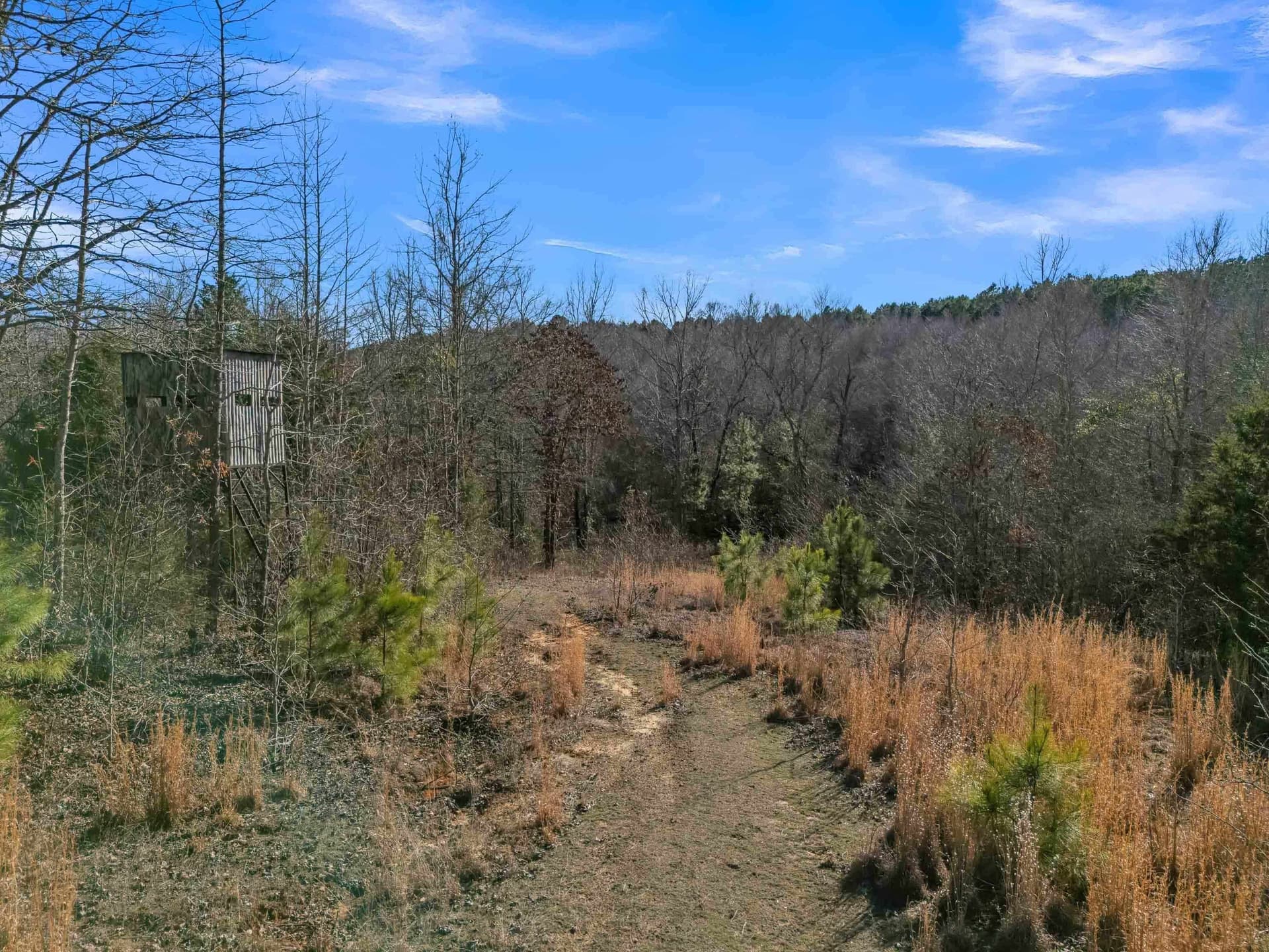 40 acres in Smith County - photo 33