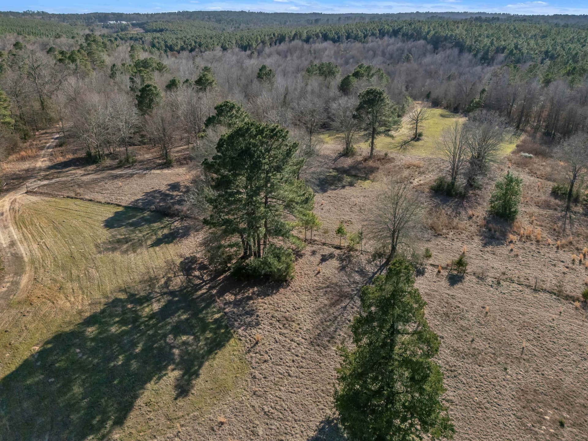 40 acres in Smith County - photo 35