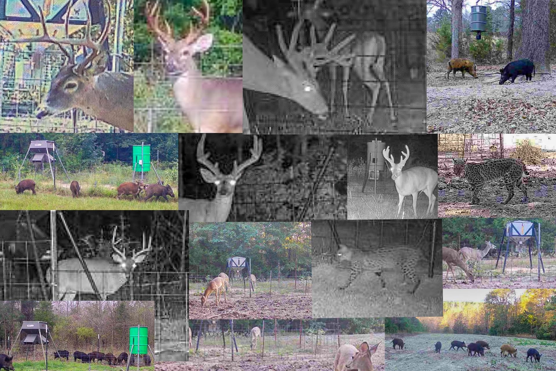 40 acres in Smith County - photo 34