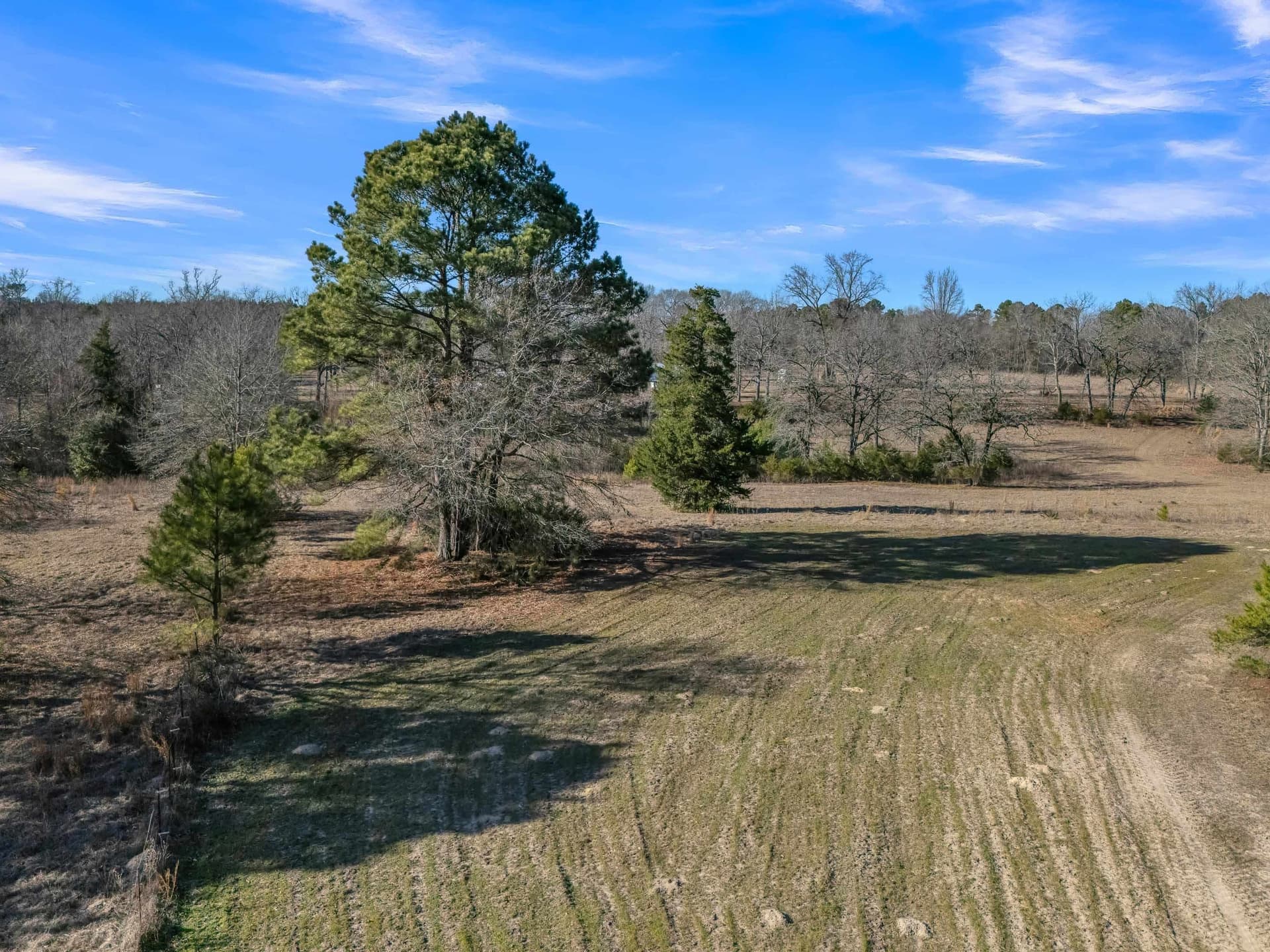 40 acres in Smith County - photo 36