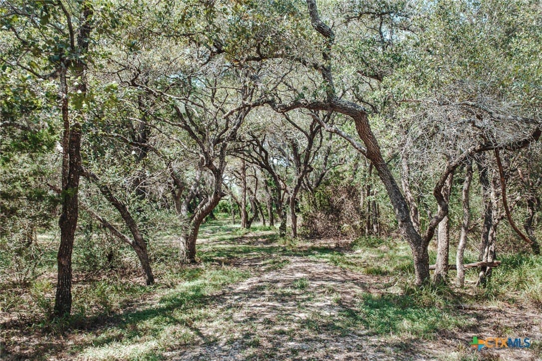 10.53 acres in Victoria County - photo 16