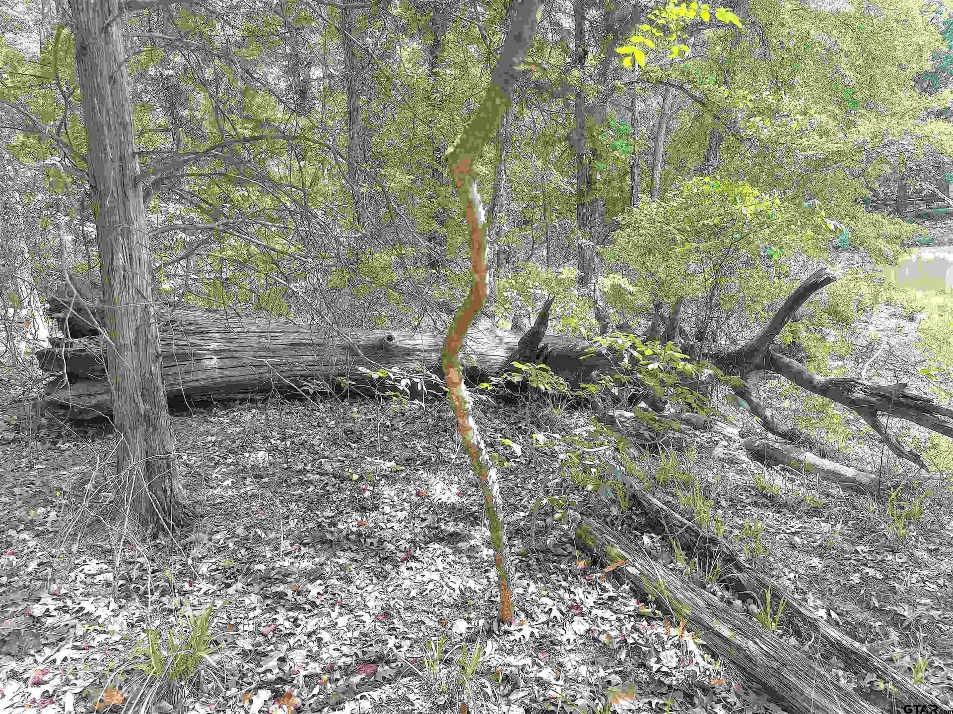 0.5 acres in Franklin County gallery image 3