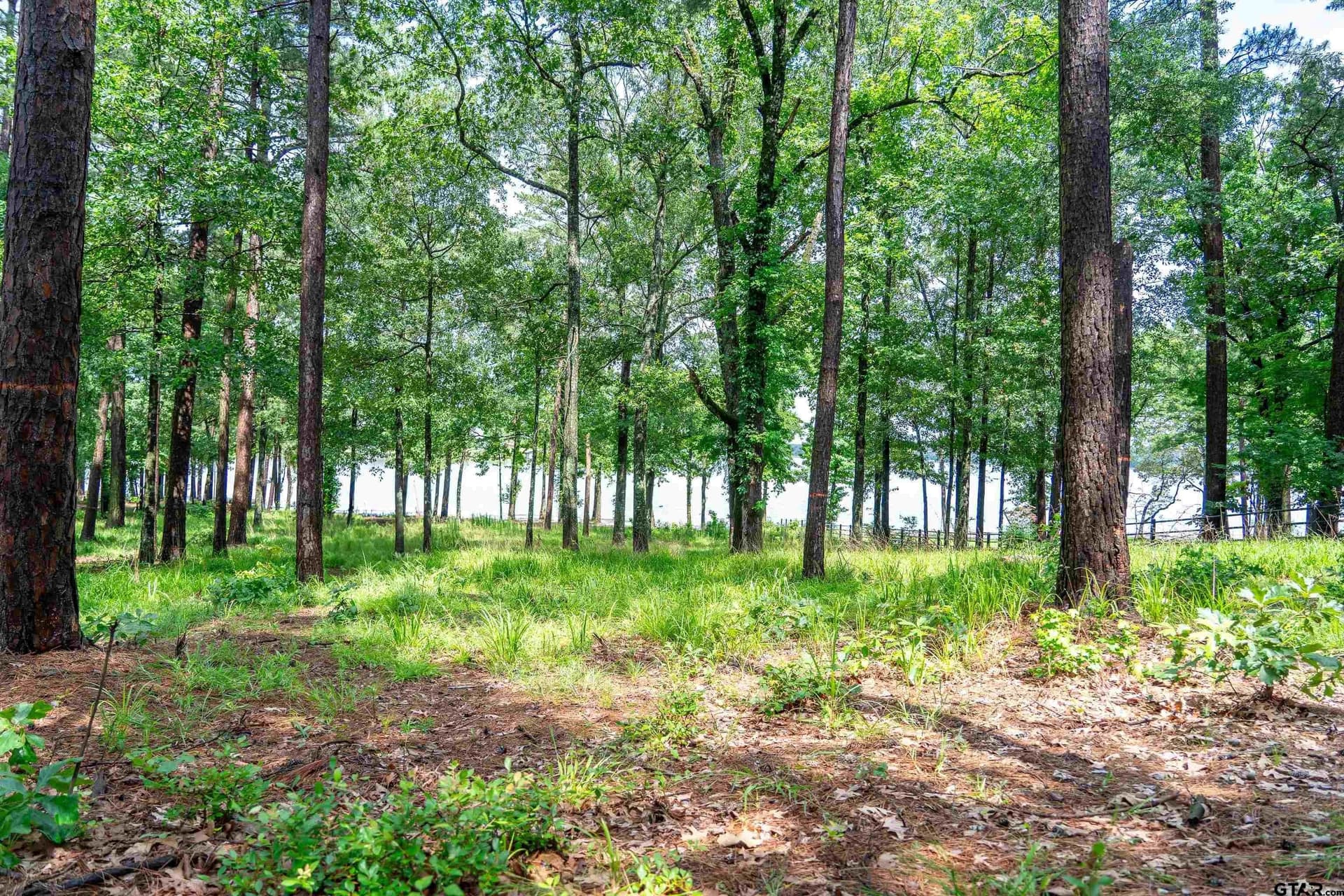 1.66 acres in Franklin County - photo 24