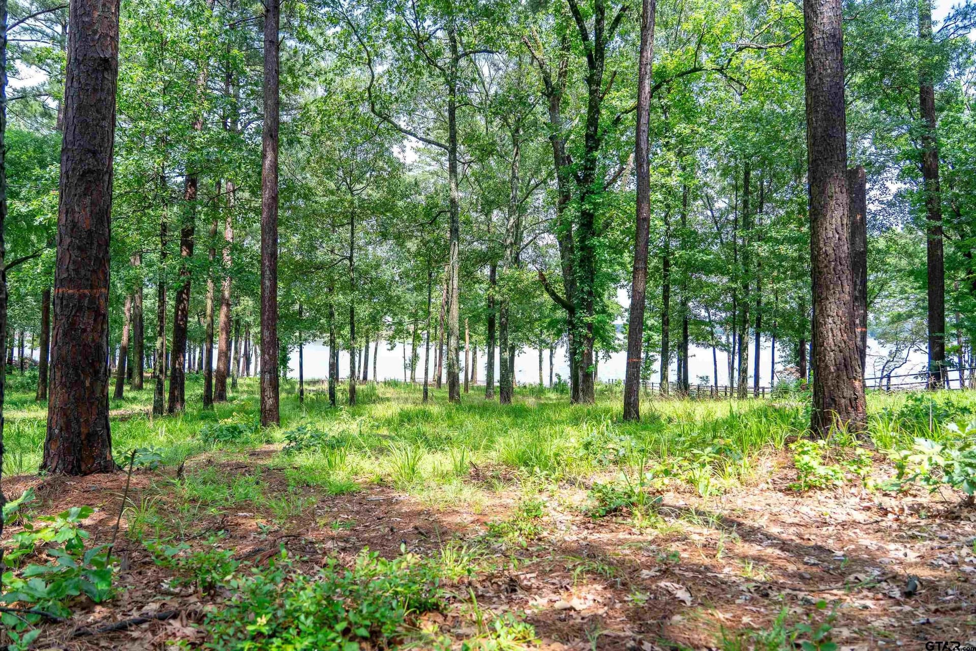 1.66 acres in Franklin County - photo 25