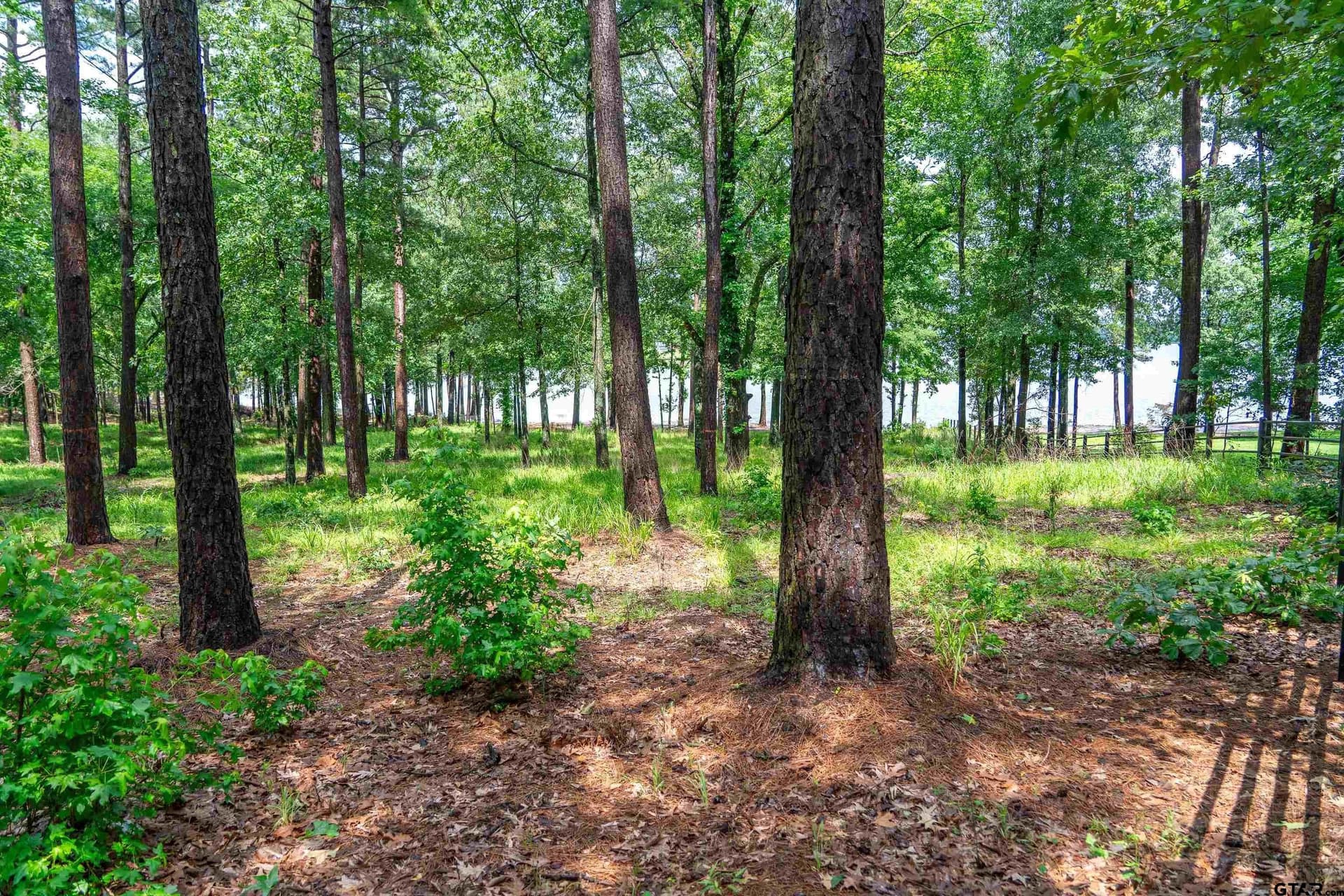 1.66 acres in Franklin County - photo 21