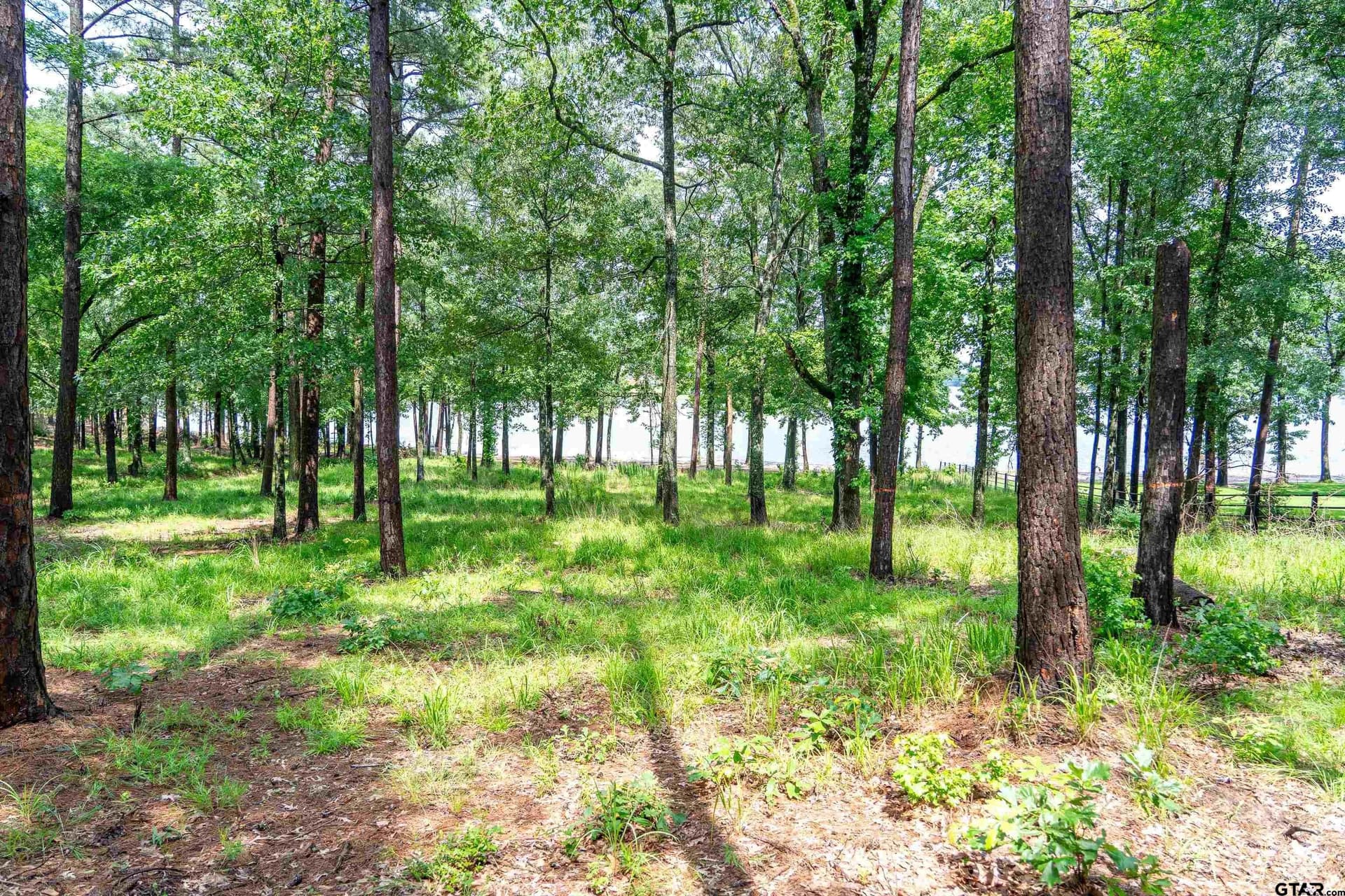 1.66 acres in Franklin County - photo 26