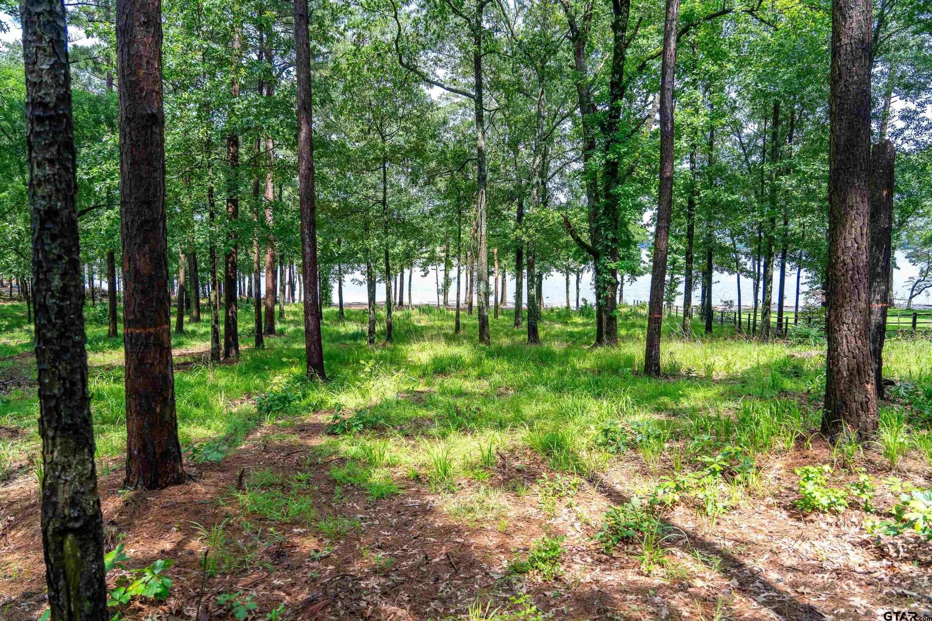 1.66 acres in Franklin County - photo 23