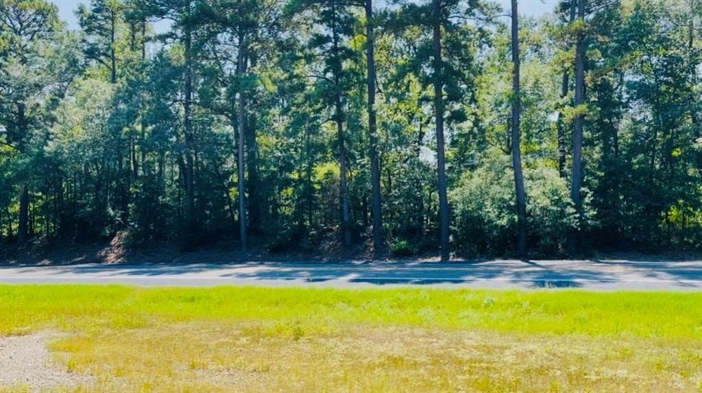 12 acres in Wood County gallery image 4