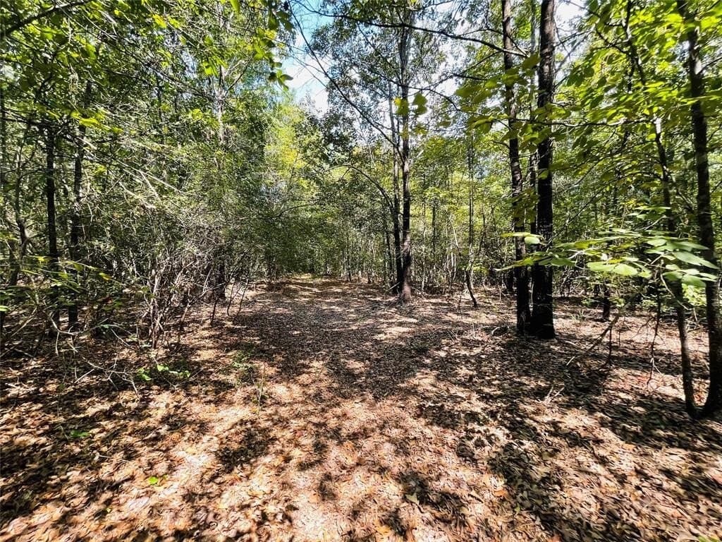 12 acres in Wood County featured view