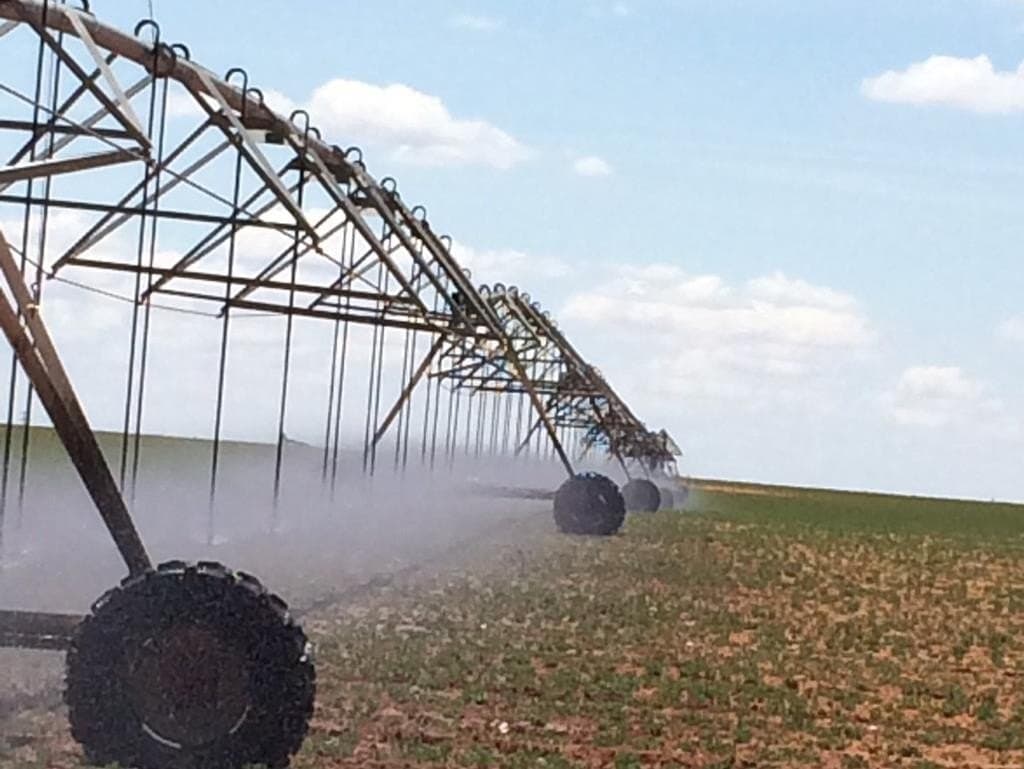480 acres in Gaines County