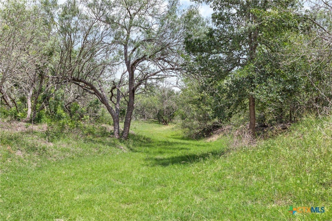 100 acres in Caldwell County - photo 33