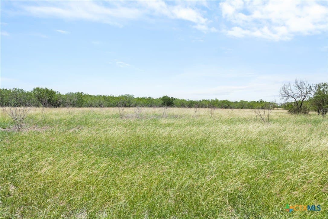 100 acres in Caldwell County gallery image 3
