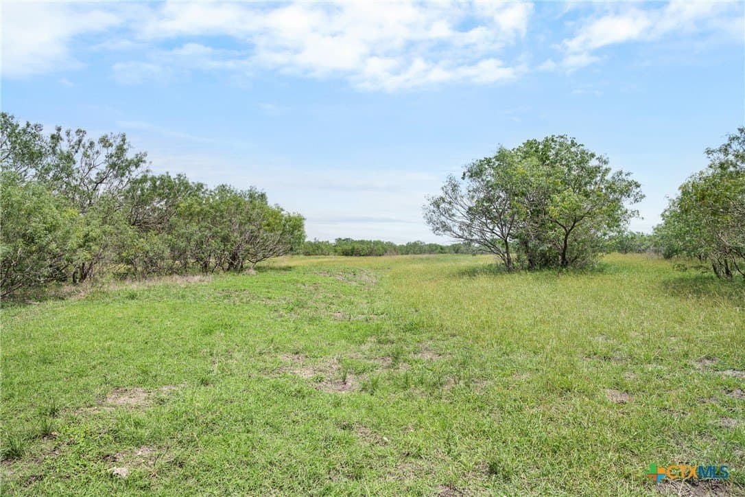 100 acres in Caldwell County - photo 29