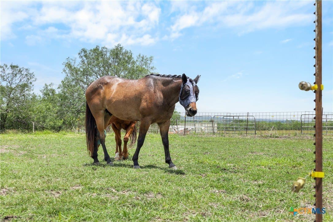 100 acres in Caldwell County - photo 7