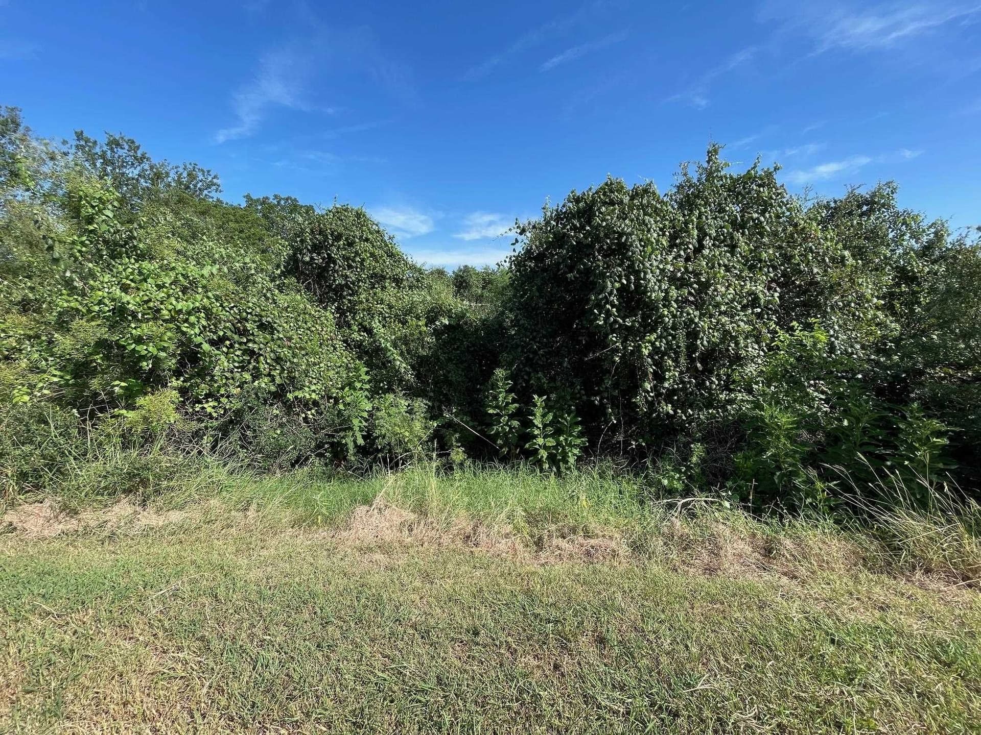0.42 acres in Burnet County - photo 3