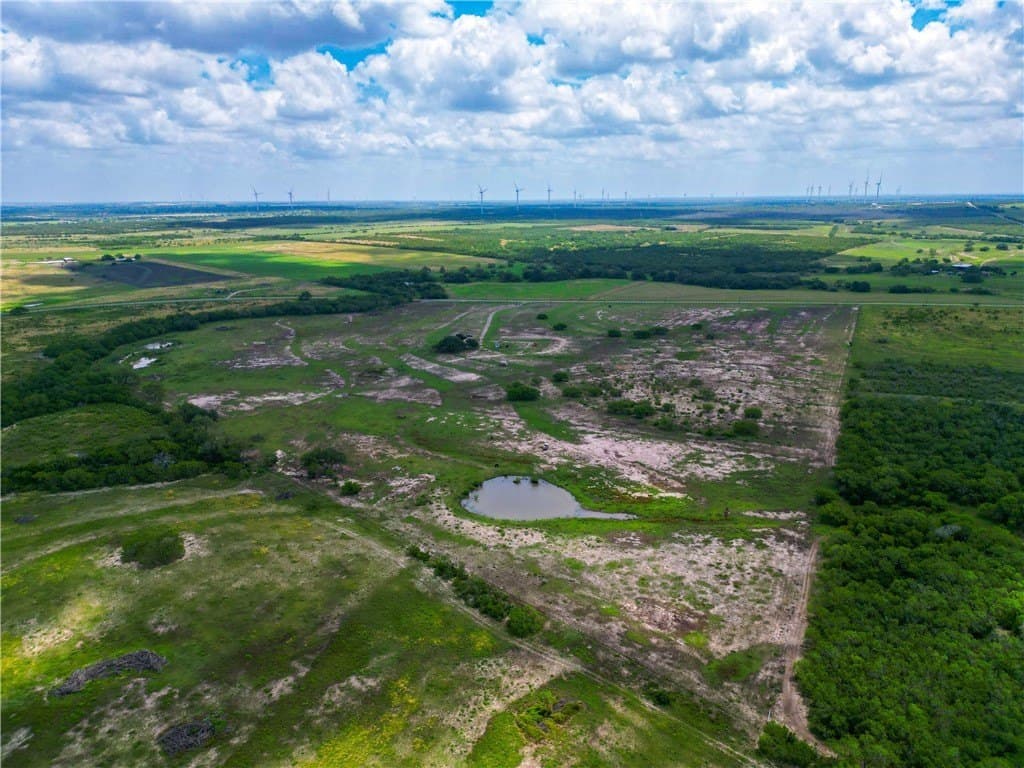 69.93 acres in Bee County gallery image 2