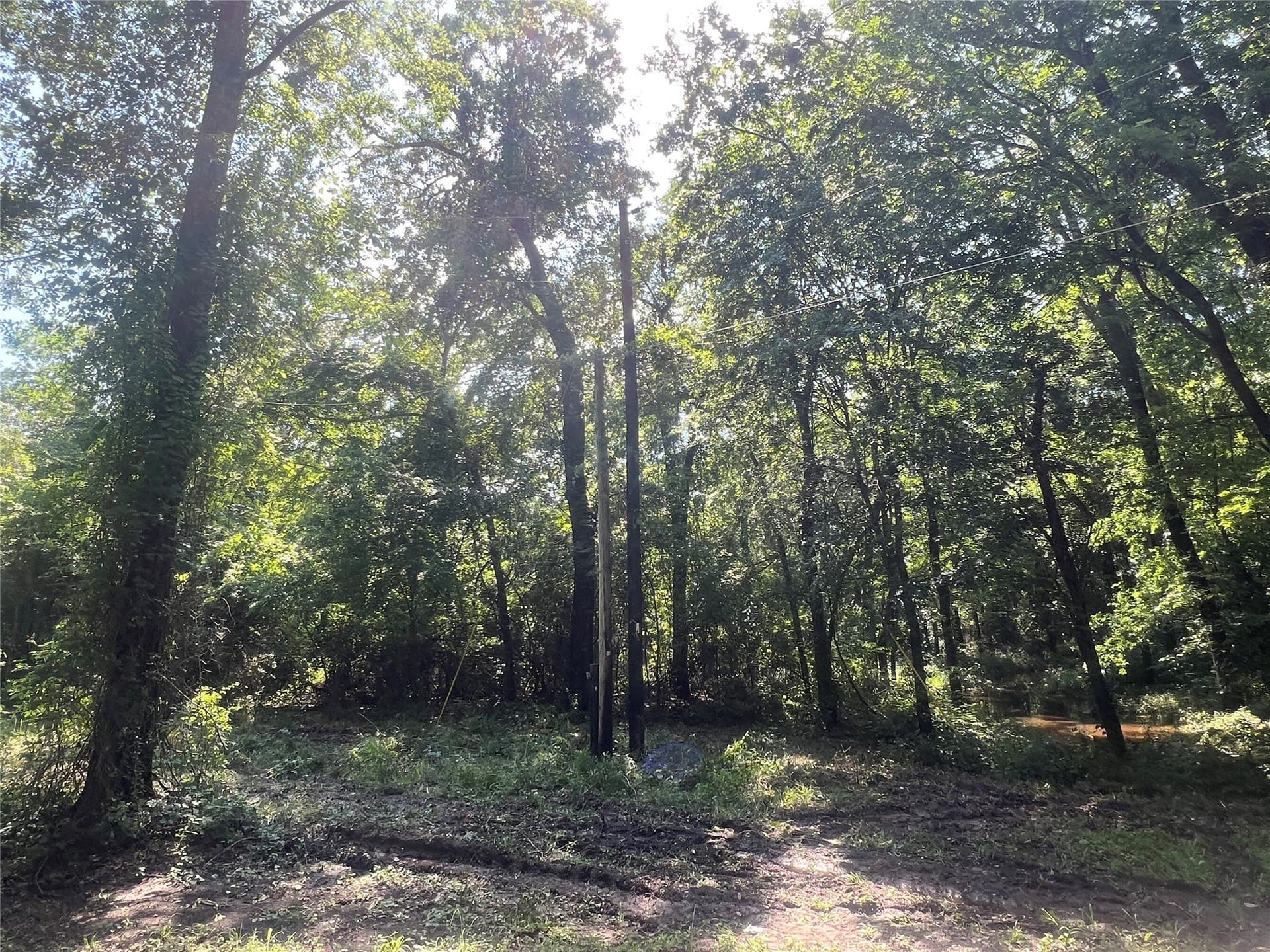 12.5 acres in Van Zandt County - photo 6