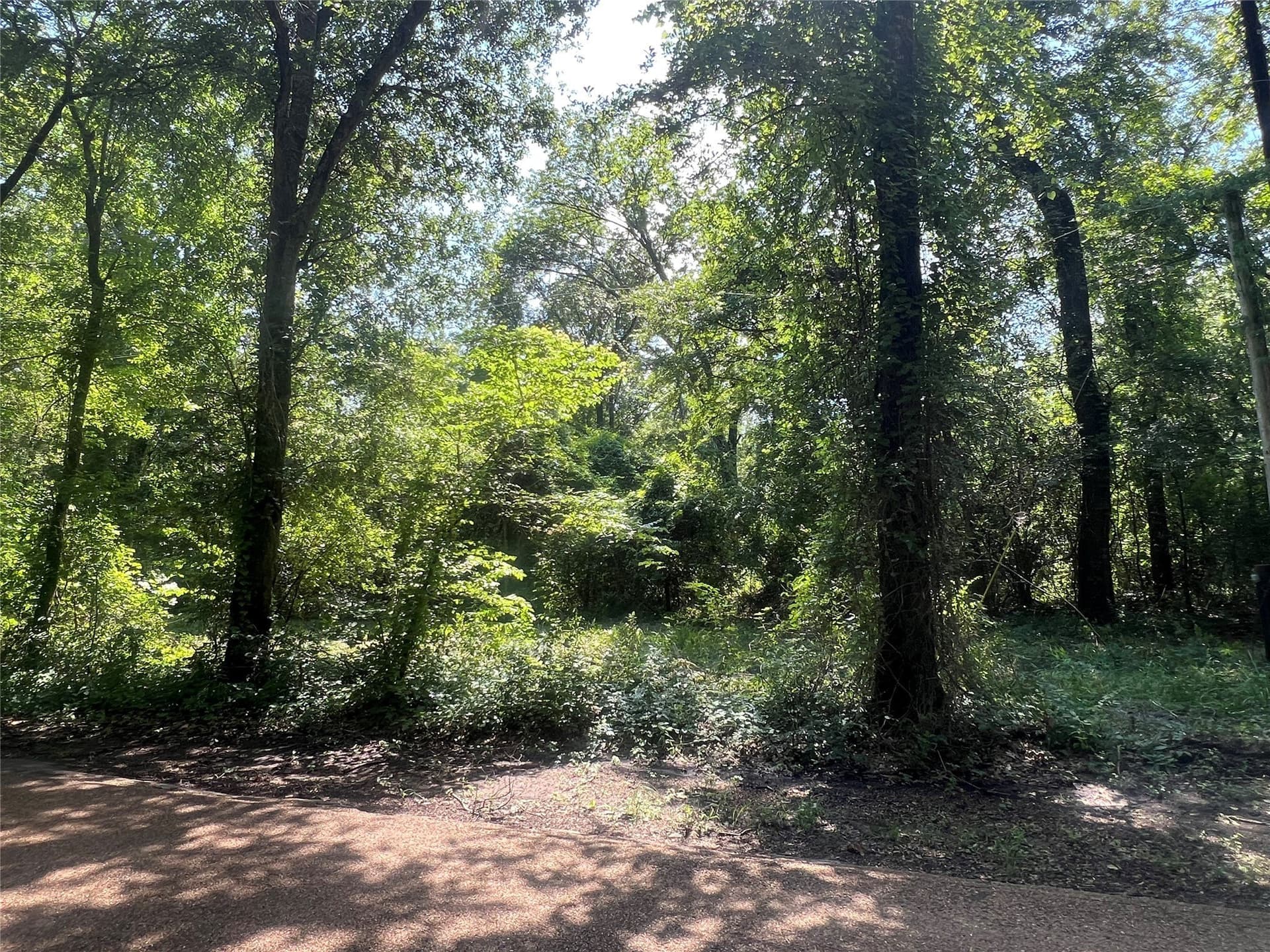 12.5 acres in Van Zandt County featured view