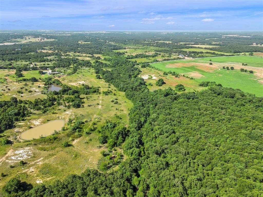 10.07 acres in Wise County gallery image 2