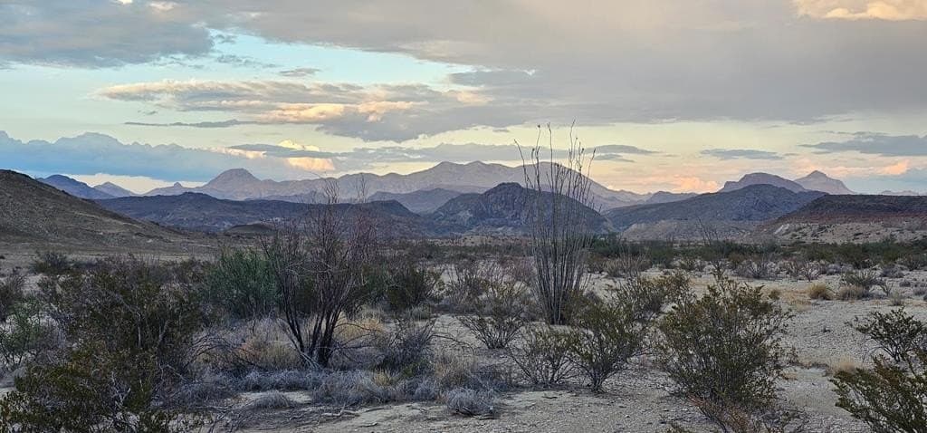 5 acres in Brewster County