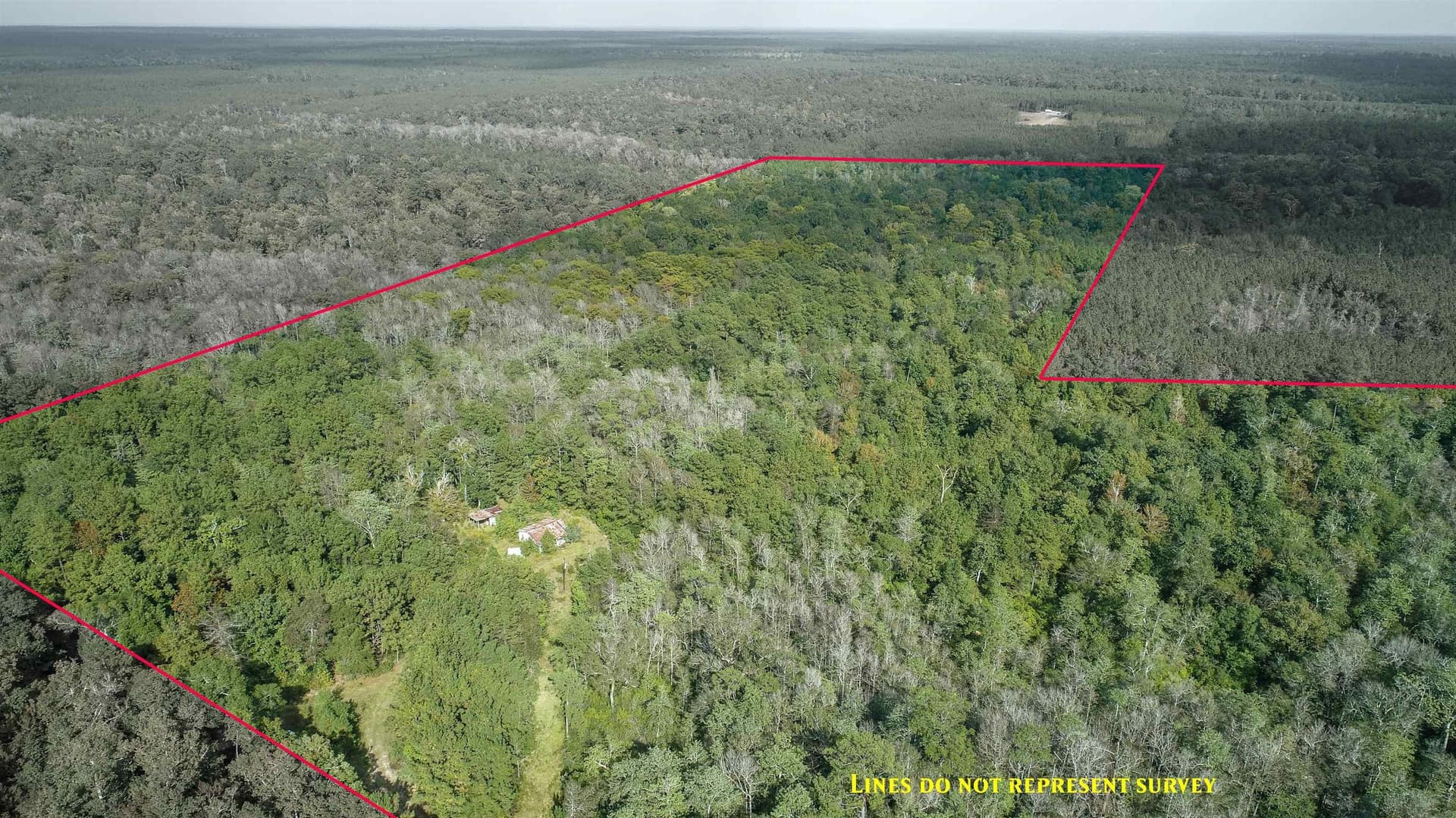 51.89 acres in Texas County - photo 6