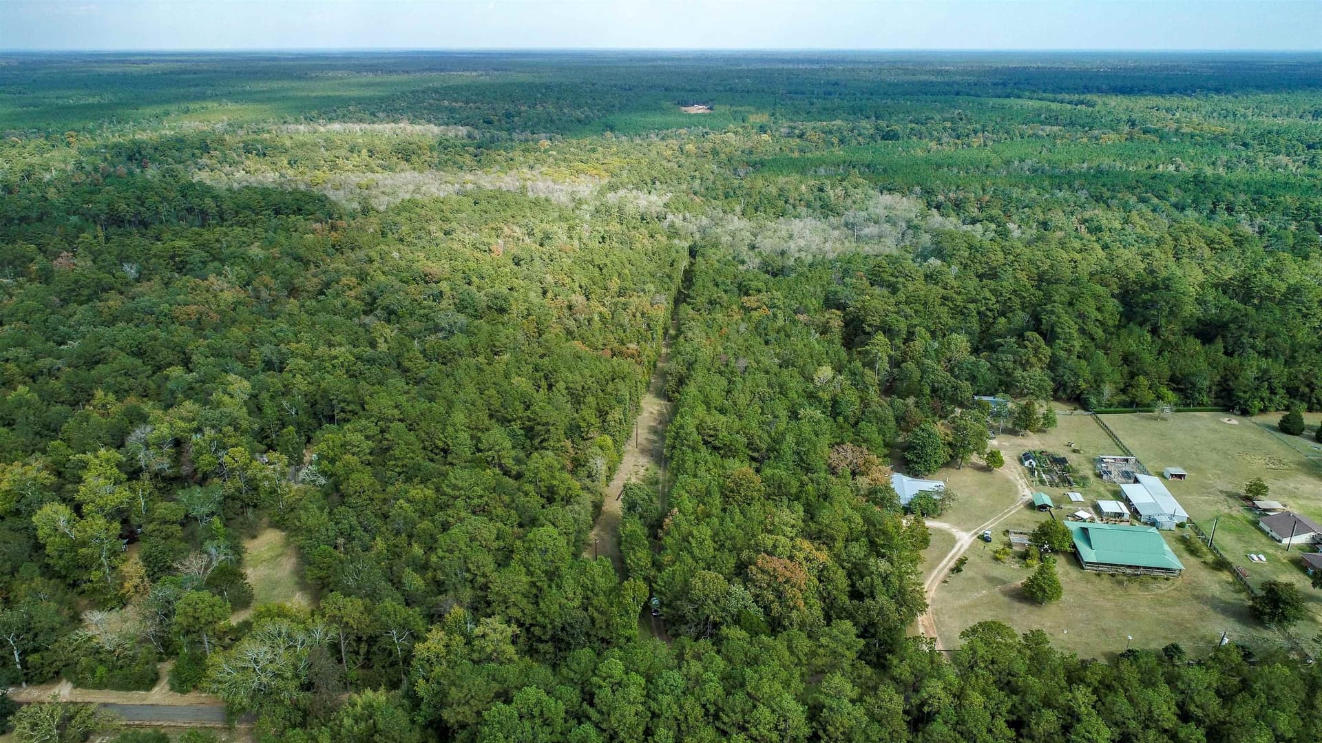 51.89 acres in Texas County featured view