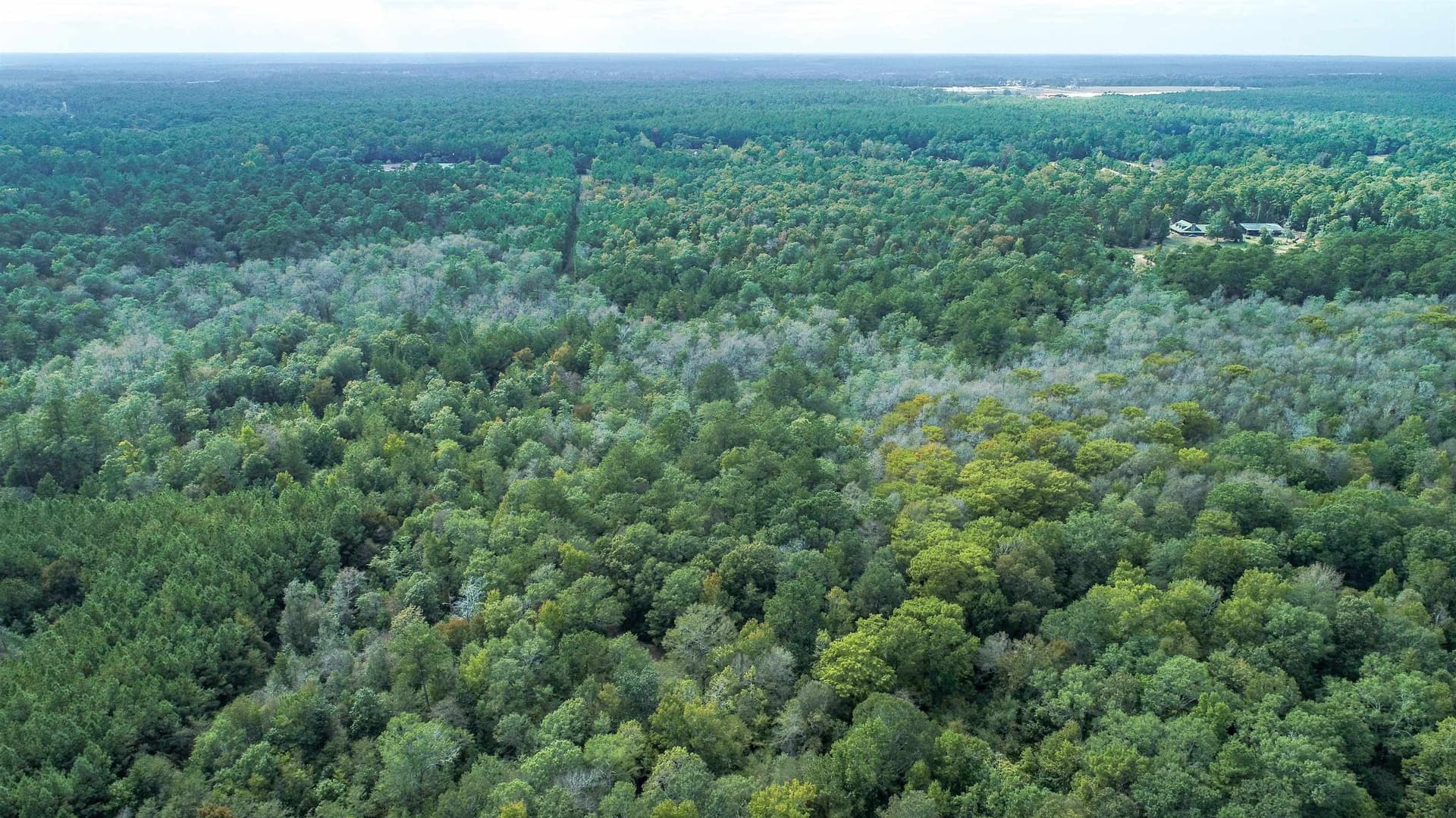 51.89 acres in Texas County - photo 9