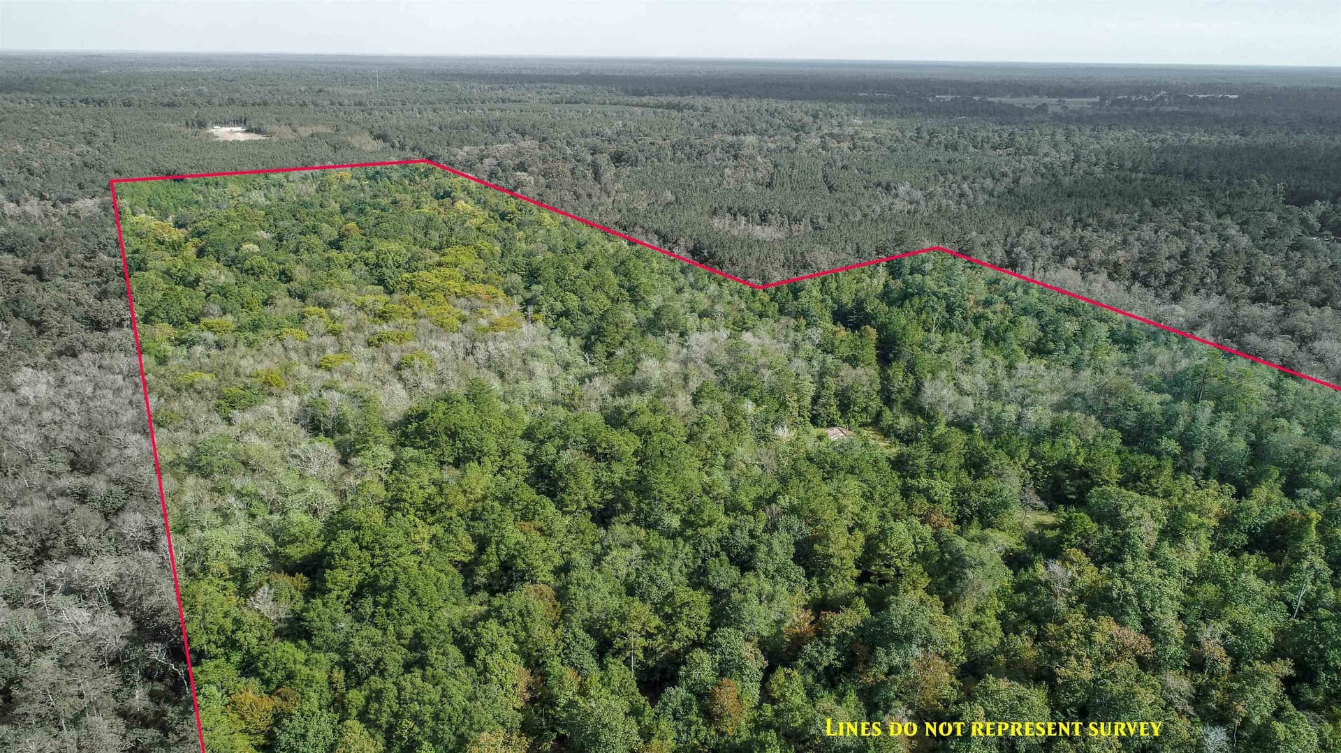 51.89 acres in Texas County gallery image 4