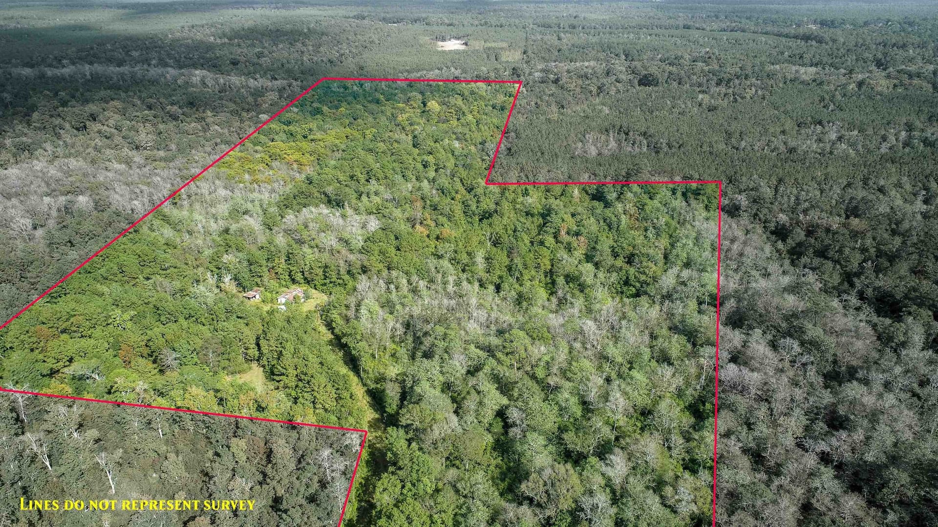51.89 acres in Texas County gallery image 2