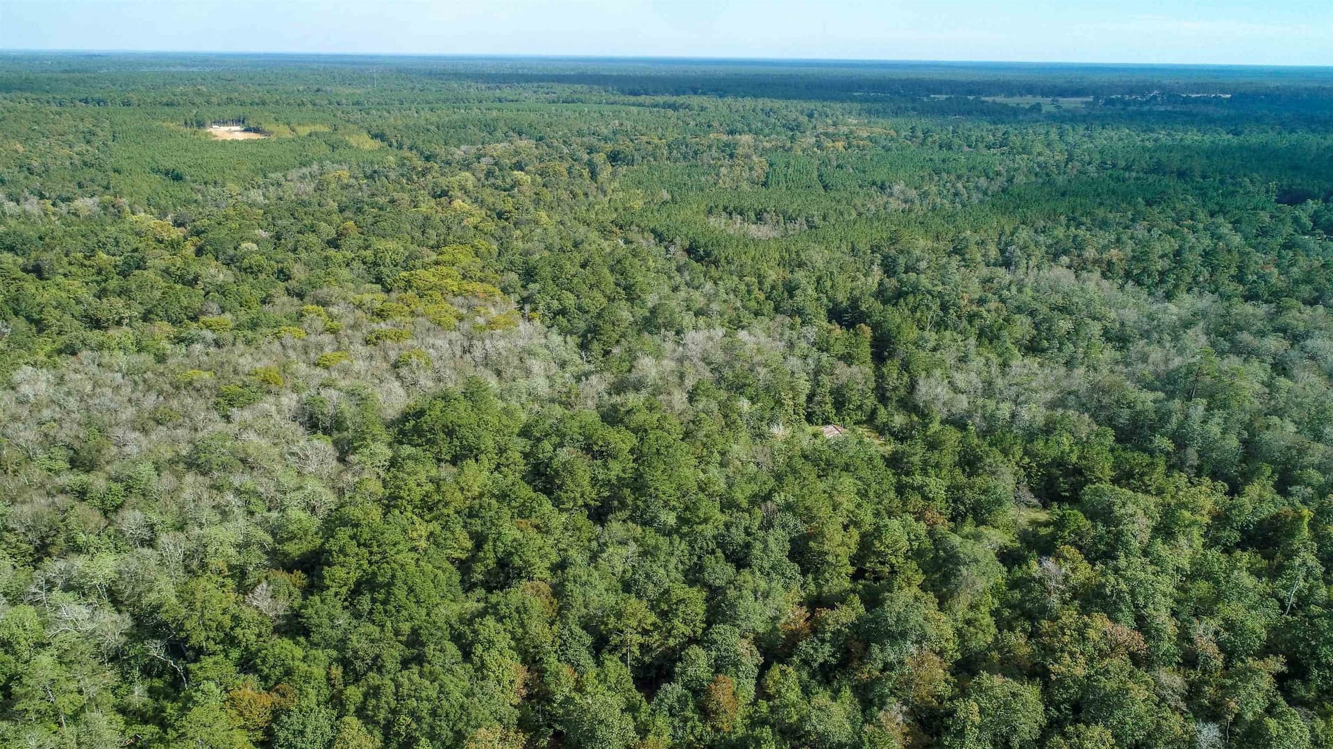 51.89 acres in Texas County - photo 10