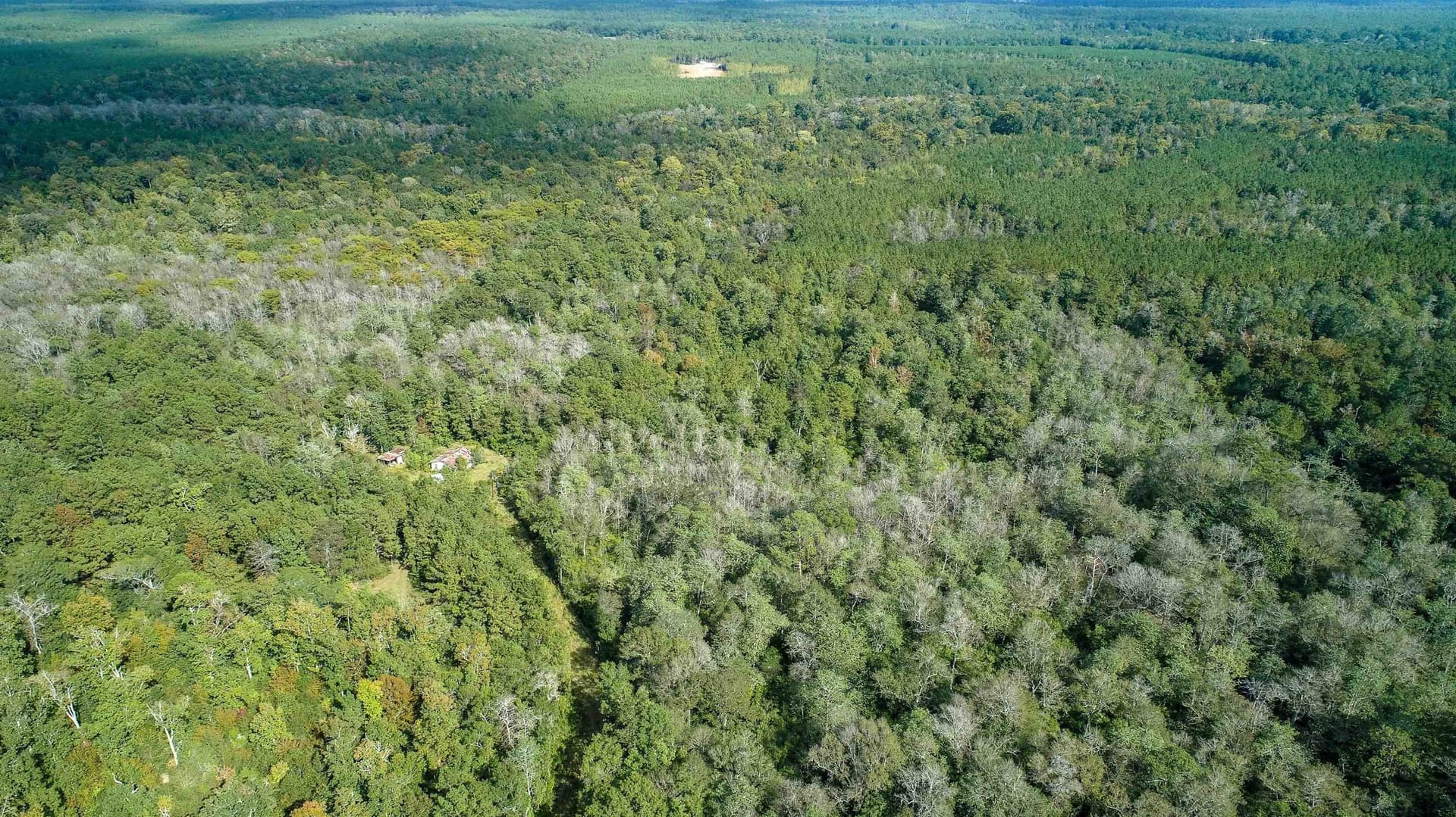 51.89 acres in Texas County gallery image 3
