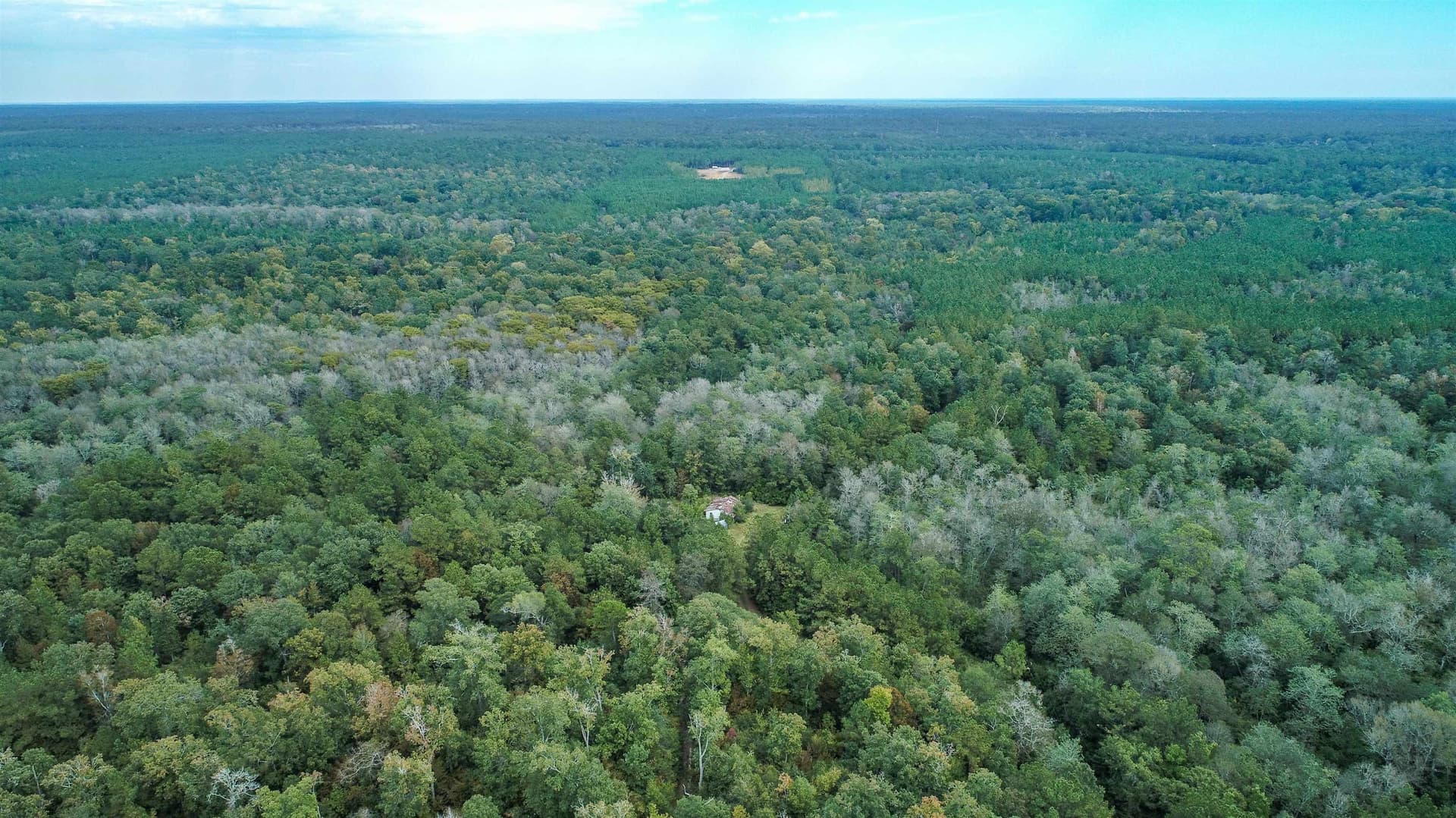 51.89 acres in Texas County - photo 12