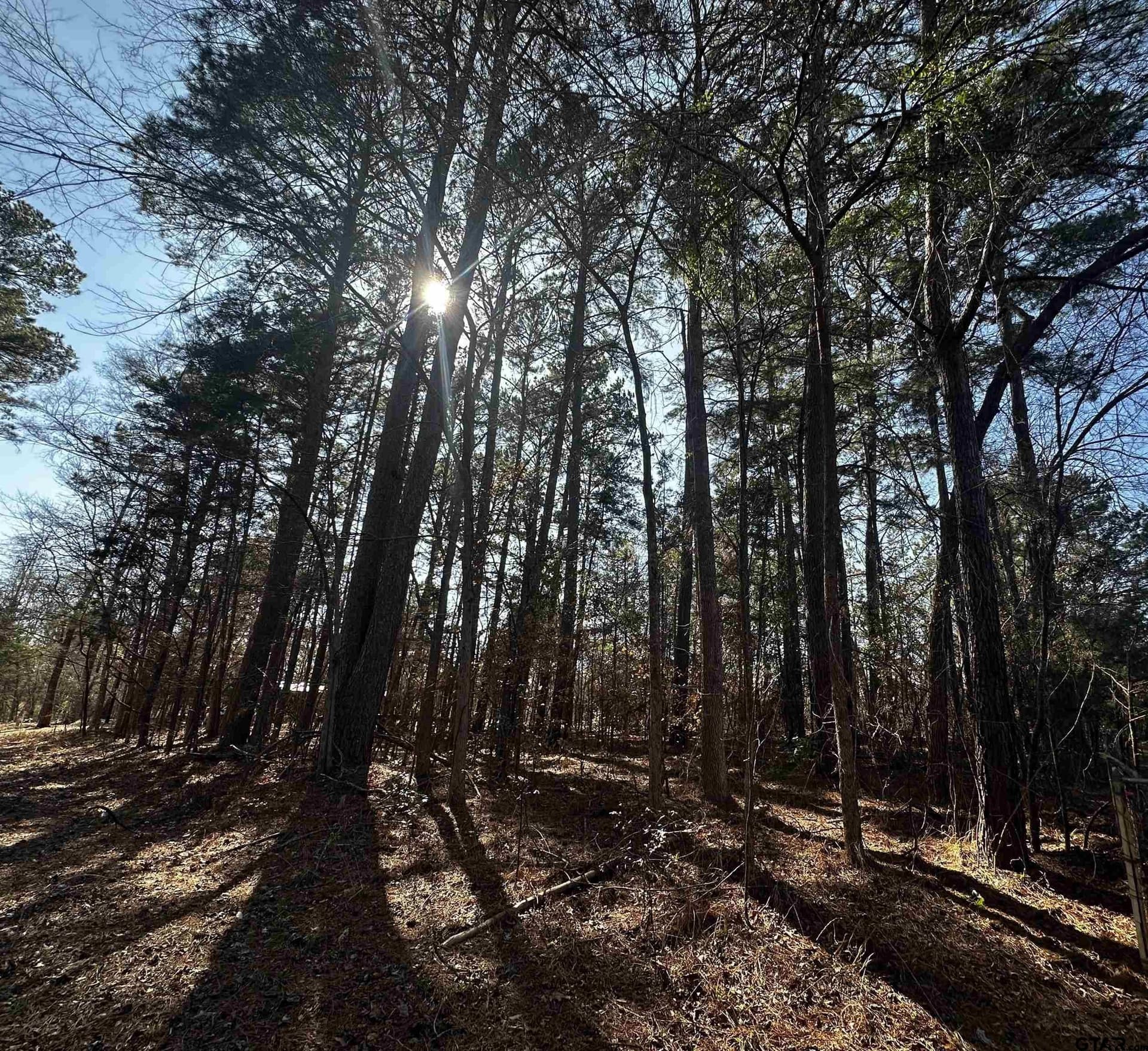 0.35 acres in Cherokee County gallery image 3